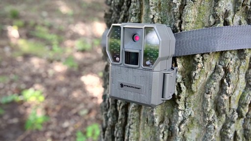Stealth Cam RX36NG Trail / Game Camera - image 8 from the video
